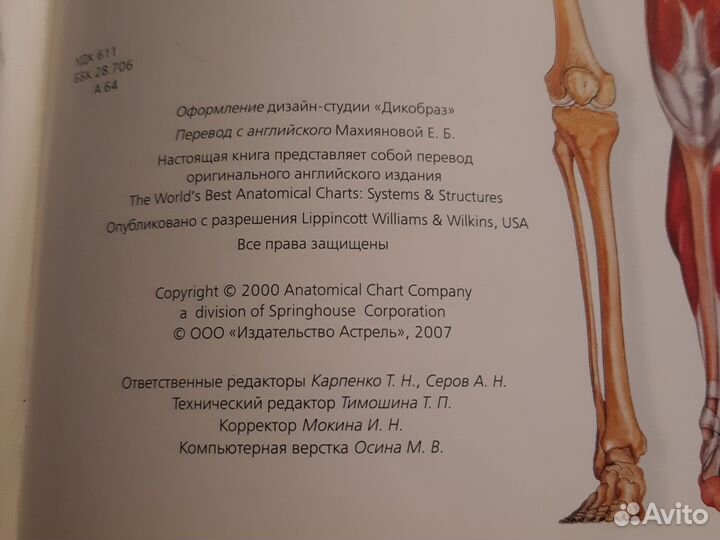 Книга атлас анатомии человека