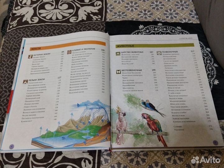 Энциклопедия школьника