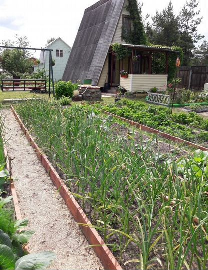 Дача 50 м² на участке 9 сот.