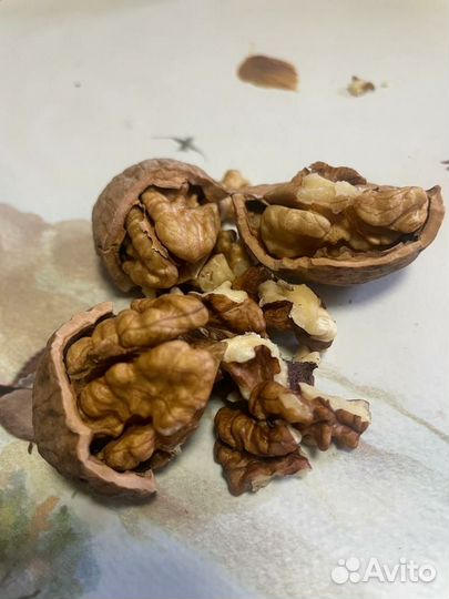 Продам грецкий орех в скорлупе