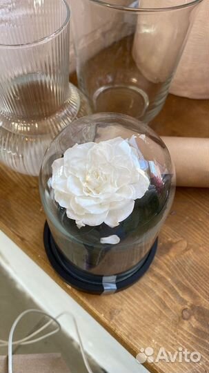 Роза в колбе