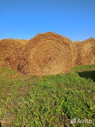 Солома в рулонах