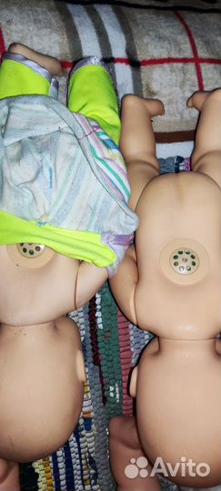 Куклы анатомические Цена за все