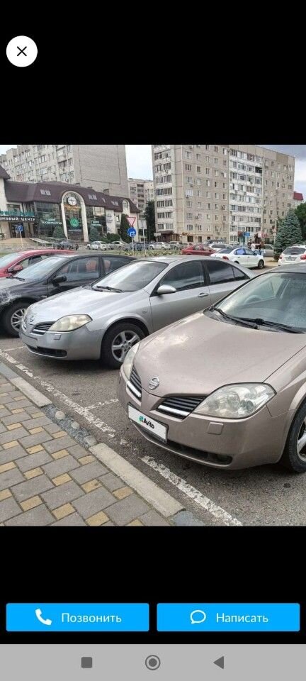 Nissan Primera: фото владельца