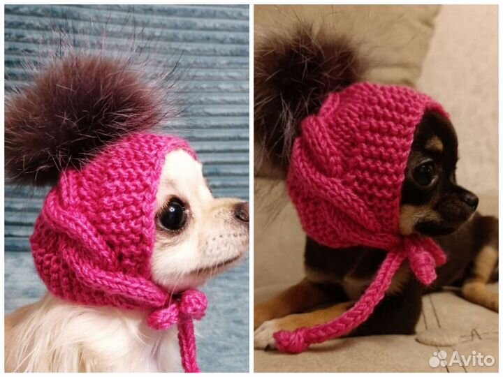 Шапочки для собак