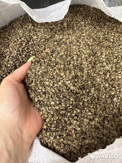 Прикормка для рыб конопляная (конопляный жмых)