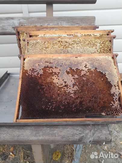 Закристаллизованный мед в сотовых рамках
