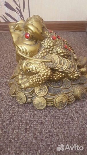 Лягушка большая