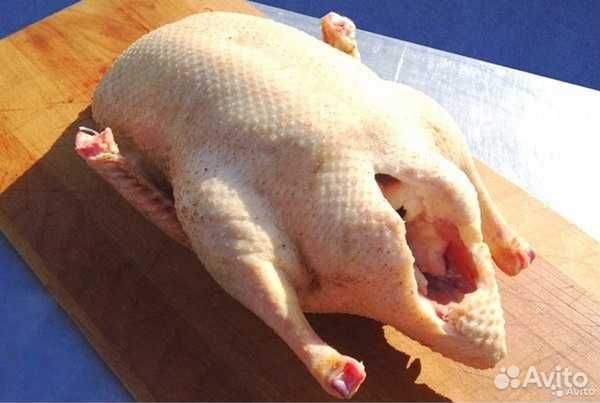 Индюки / Гуси тушки