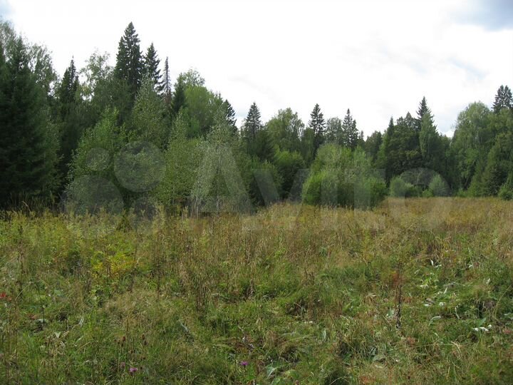 Участок 2,2 га (СНТ, ДНП)