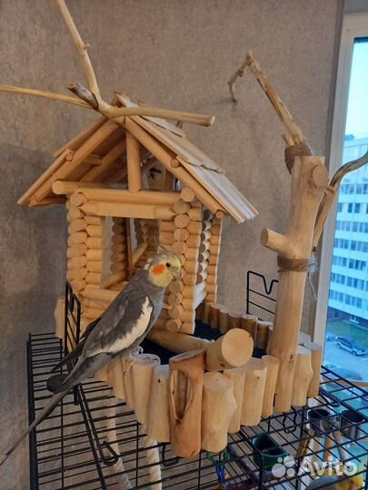 Домик для попугаев