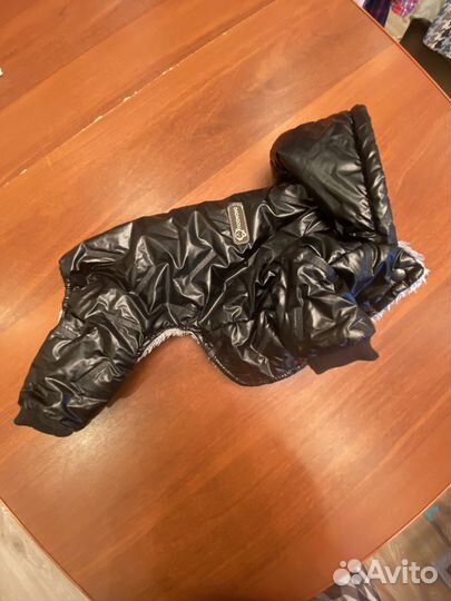 Одежда для собак