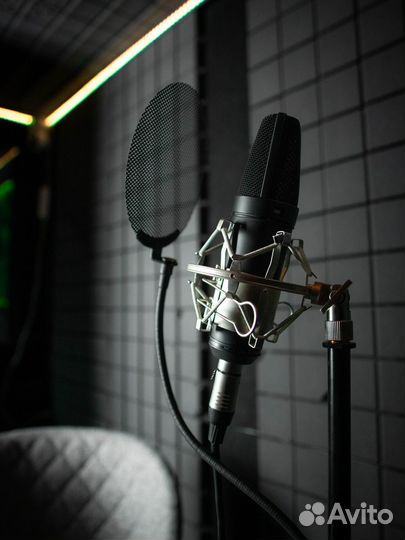 Студийный микрофон Neumann U 89 I