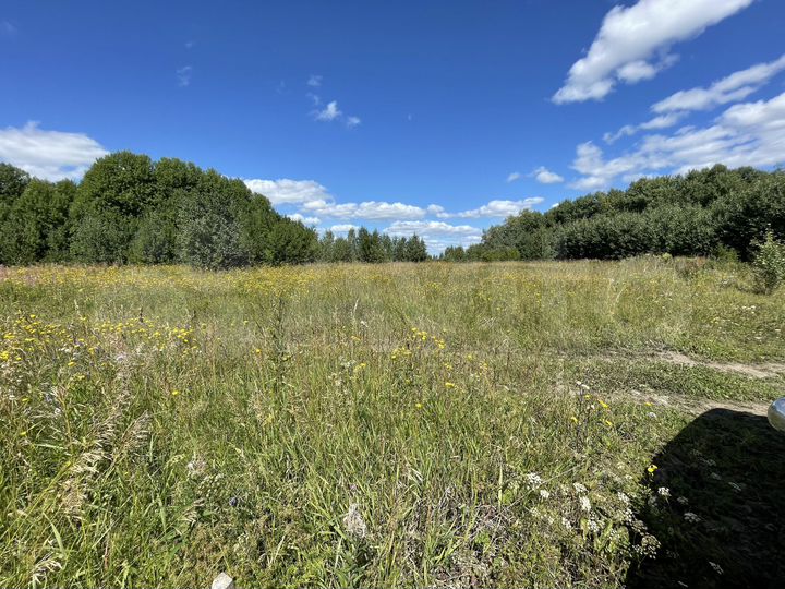 Участок 12 сот. (СНТ, ДНП)