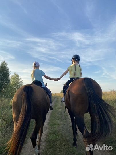 Верховая езда/конные прогулки/обучение/фотосессии