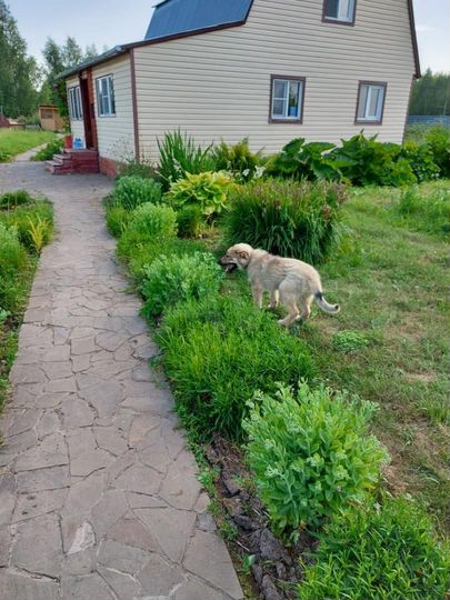 Дача 88 м² на участке 23 сот.