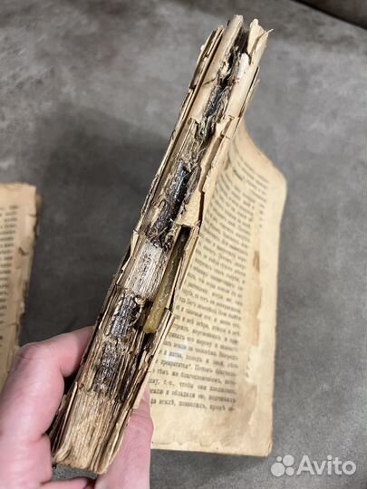 Священная история Ветхий и Новый Завет 1912