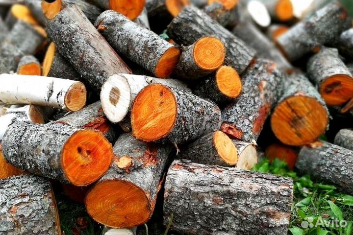 Дрова осина
