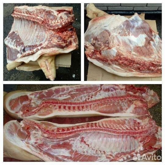 Мясо свинина домашняя