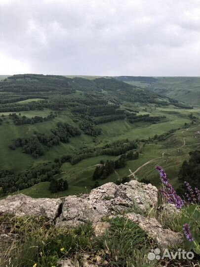 Кисловодск Топ-Экскурсия Конная прогулка в окрестн