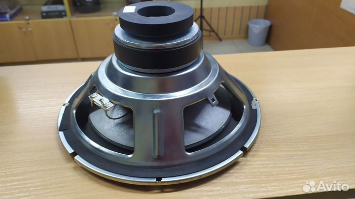 Динамик для сабвуфера 10