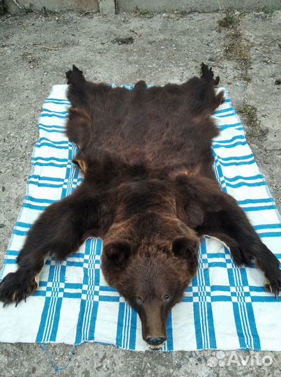Шкура медведя (имитация)