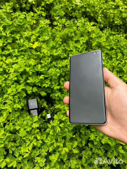 Samsung galaxy s10 plus