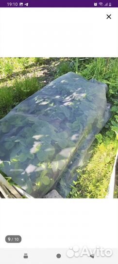 Москитные сетки на окна