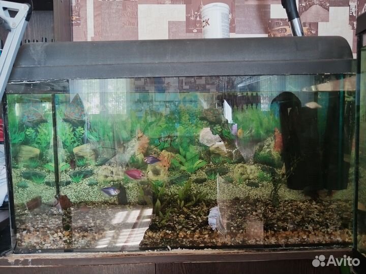 Аквариум 100 литров
