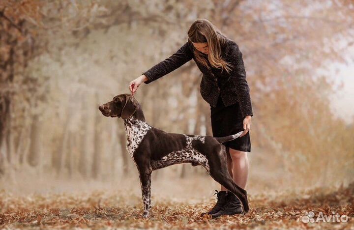 Услуги хендлера