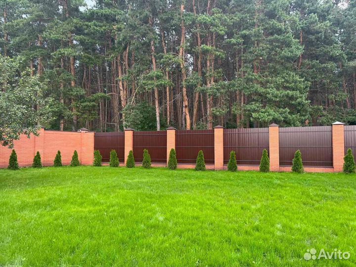 Семена газона низкорослого