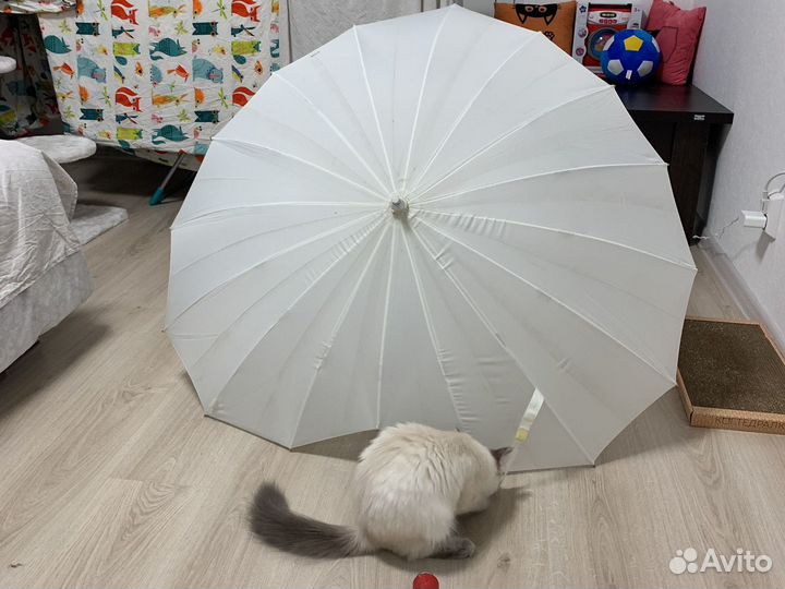 Зонт в форме сердца, красный и белый