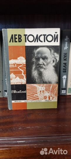 Книги серии жзл с 1963 по 1973