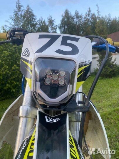 Avantis fx 250