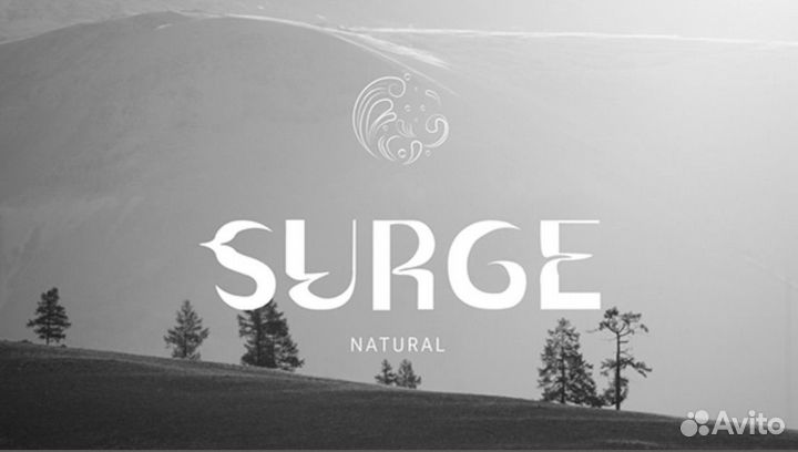 Графический дизайн / лого / фирменный стиль