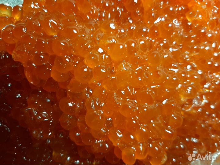 Икра лососёвая 2023 г. горбуша