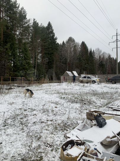 Участок 4,5 сот. (СНТ, ДНП)