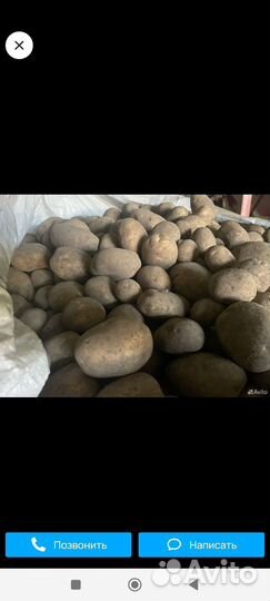 Продам картофель домашний