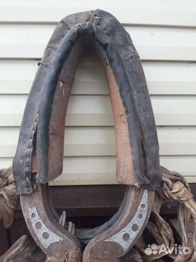 Упряж для лошади