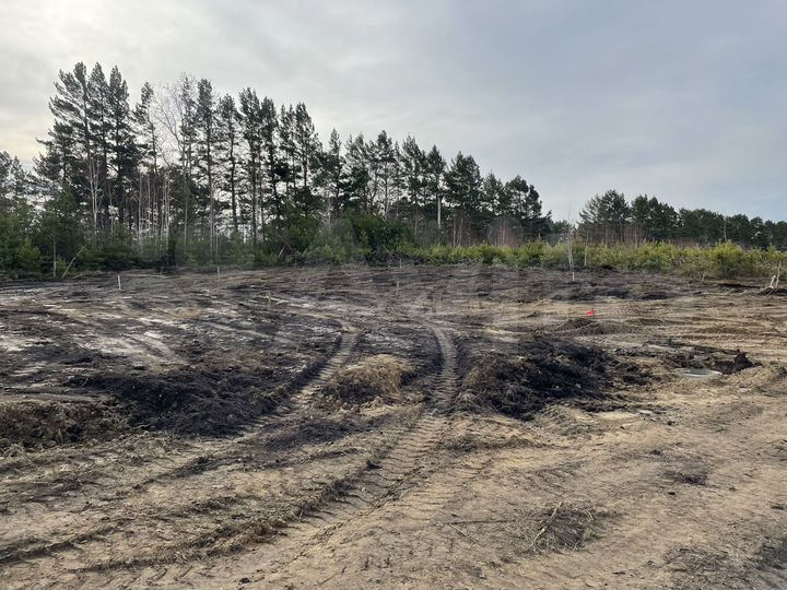 Участок 5 сот. (СНТ, ДНП)