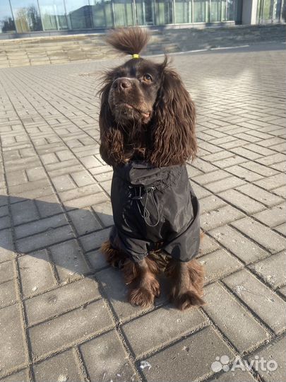 Дождевик для собак