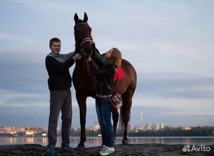 Конные прогулки