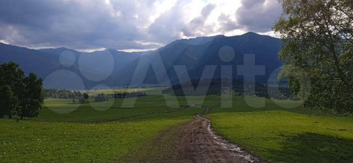 Участок 20 сот. (СНТ, ДНП)