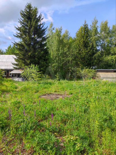 Участок 6,2 сот. (СНТ, ДНП)