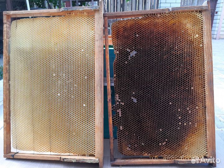 Ульи-лежаки