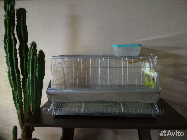 Клетка для перепелов
