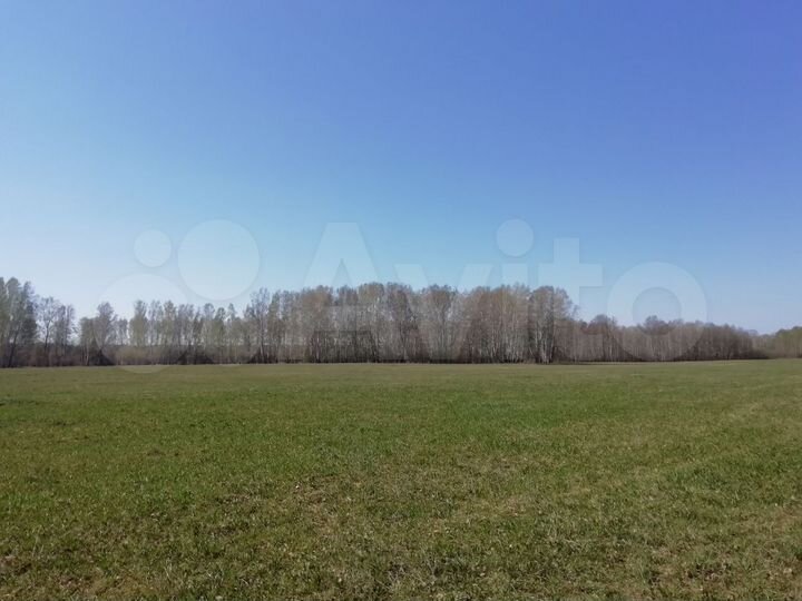 Участок 11 га (СНТ, ДНП)