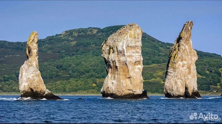 Морские прогулки на катере