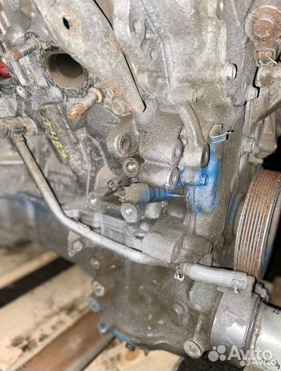 Двигатель контрактный VQ35DE Nissan Infiniti 3.5