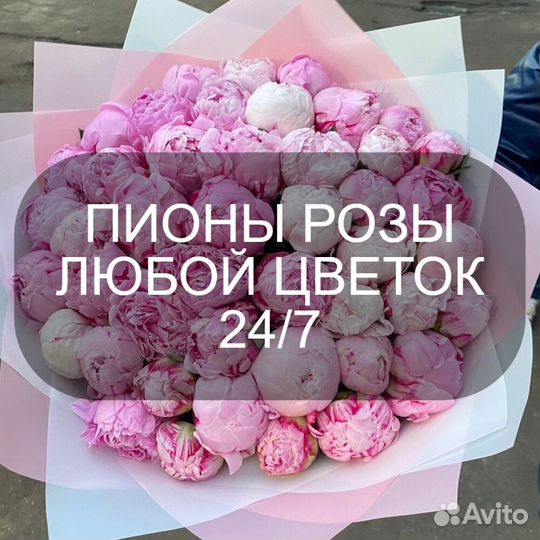 Пионы цветы с доставкой от производителя 24 7